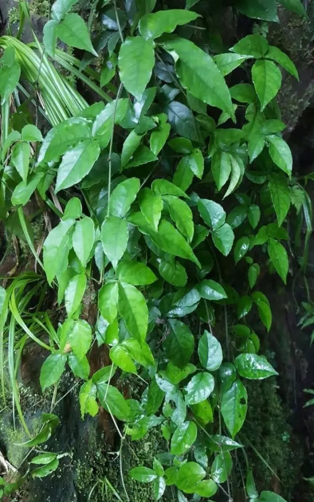 1640331660137873.jpg 1-(9).jpg