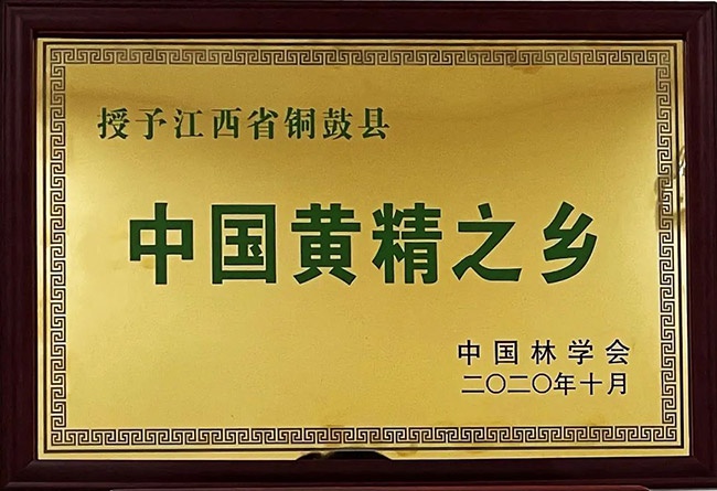 1648877195816312.jpg 3.jpg